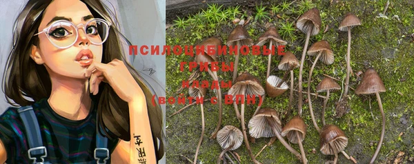 Альфа ПВП Майский