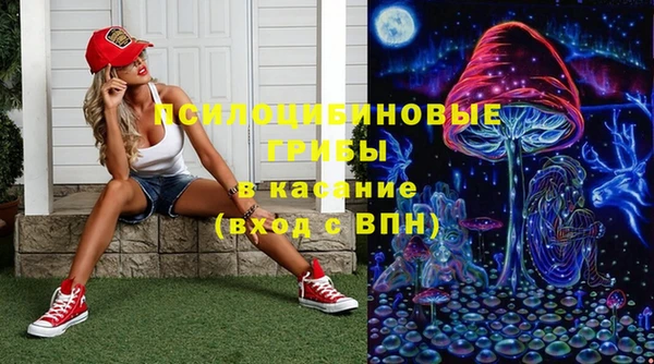 МДПВ Медногорск